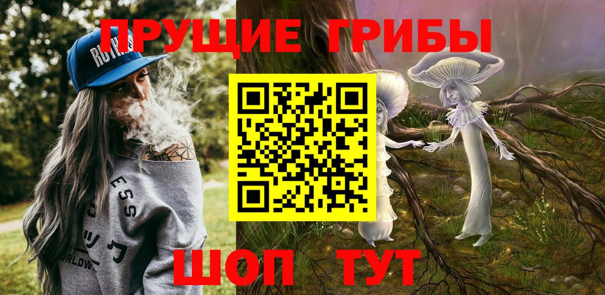 Холмск  Псилоцибиновые грибы прущие грибы  Вход с VPN 